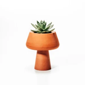 Vaso Modelo 17